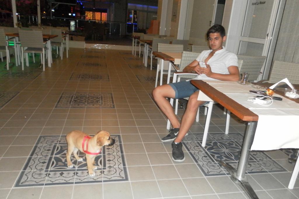 Hotel La Mosae Alanya Kültér fotó