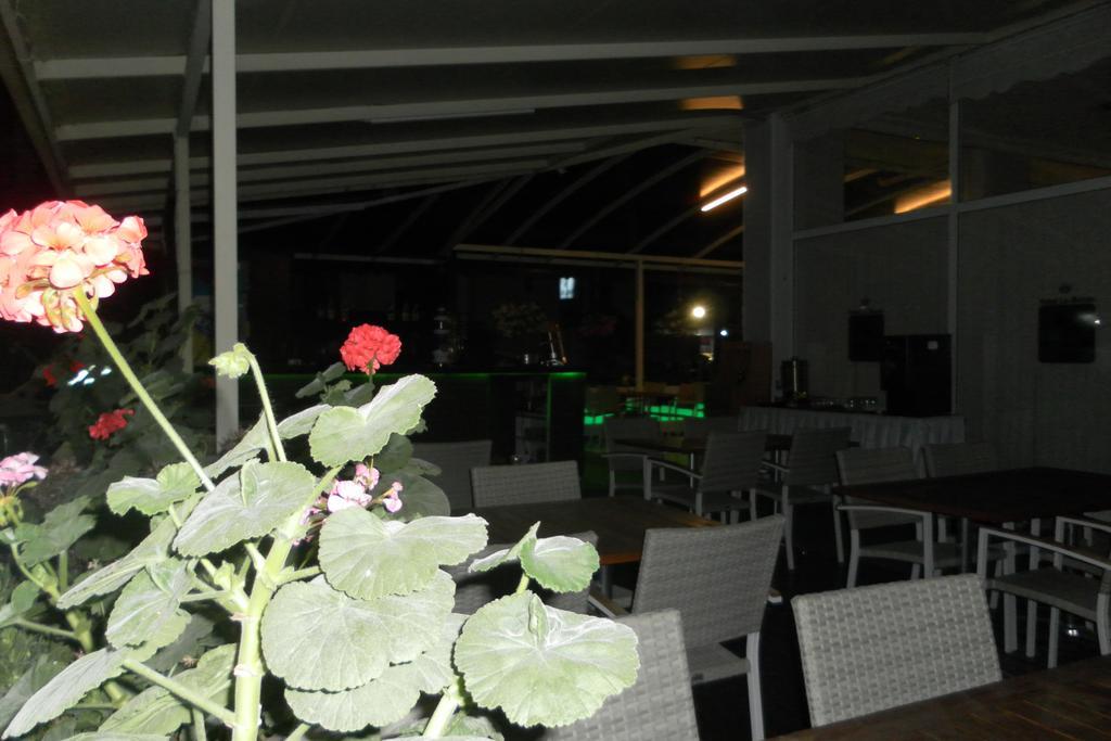 Hotel La Mosae Alanya Kültér fotó